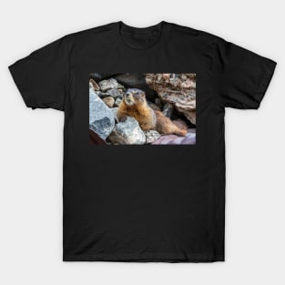 Smile for the Camera T-Shirt